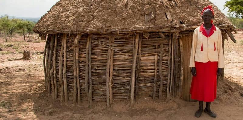 Person in red and white clothing stands beside a traditional mud and thatch hut in a rural landscape.