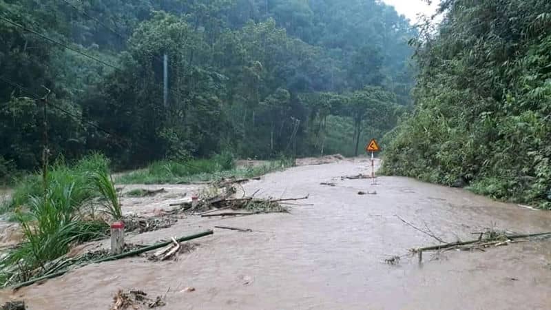 Flooded road with debris through dense forest, caution sign partially submerged, showcasing severe weather impact.