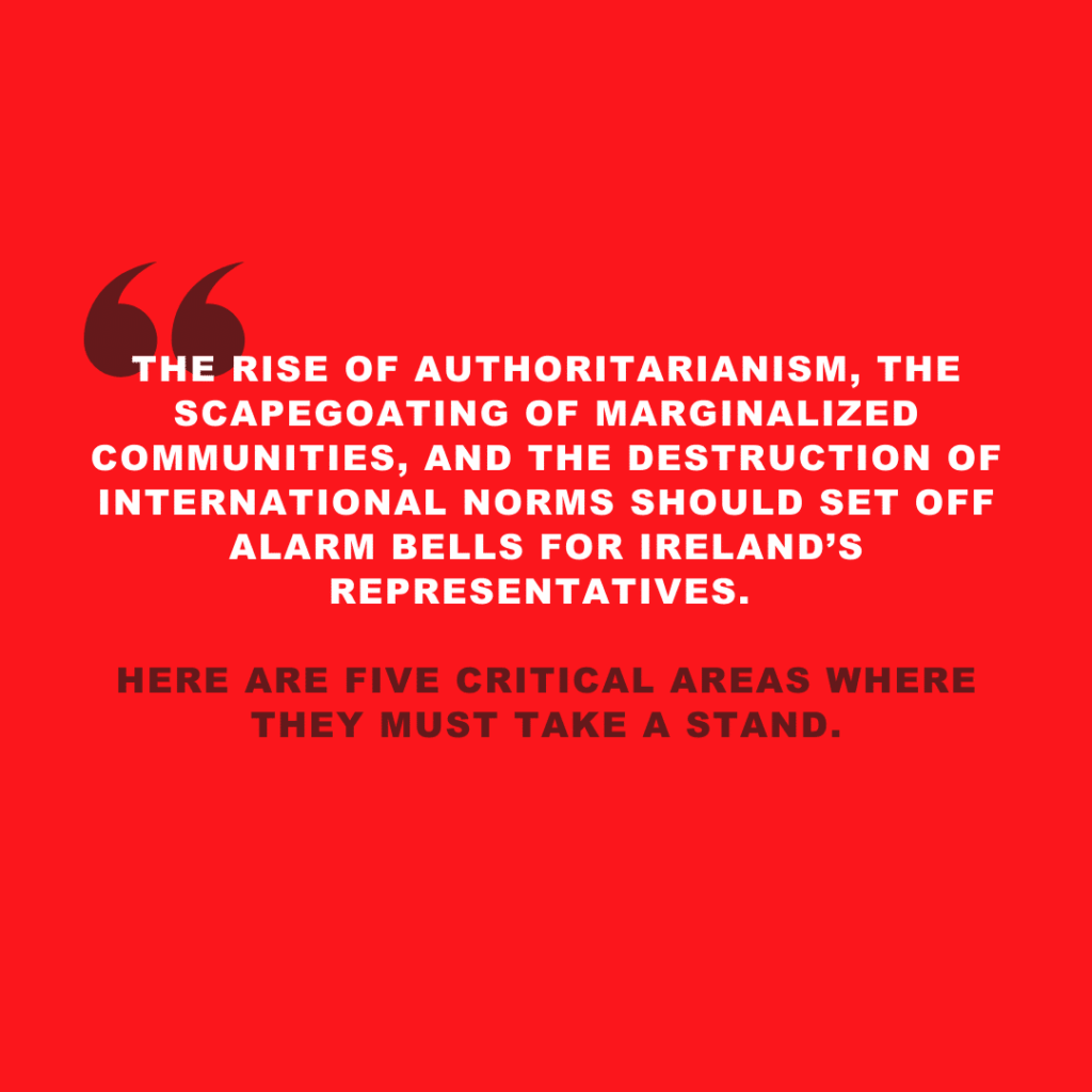 Quote on authoritarianism and international norms, urging Irish representatives to take action on five critical areas.