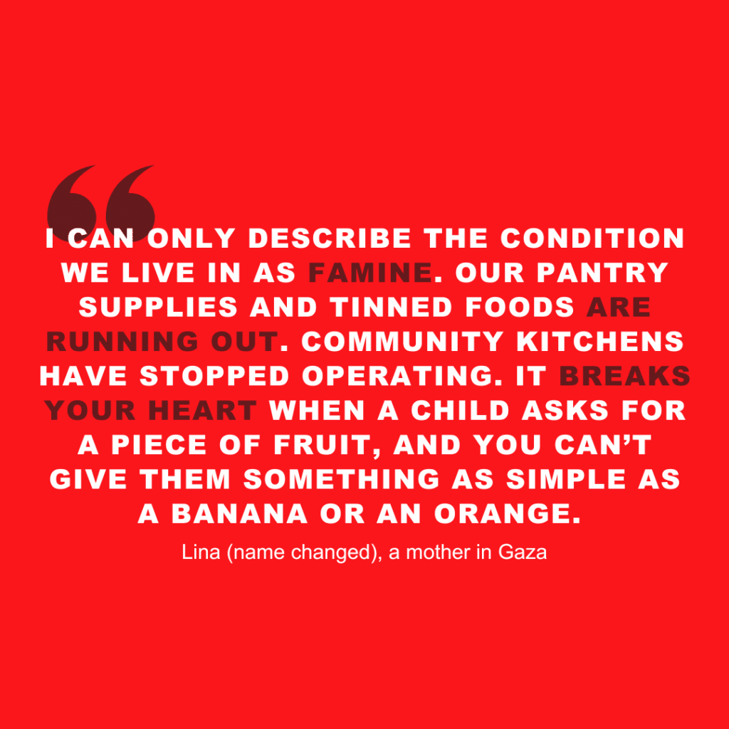 Quote about famine in Gaza highlighting food shortages and impact on families and children.
